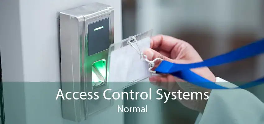 Access Control Systems Normal