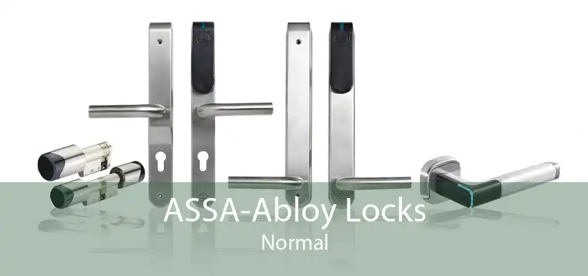 ASSA-Abloy Locks Normal