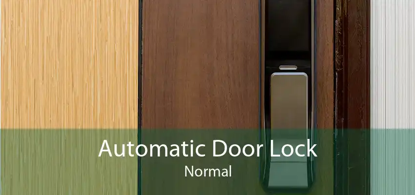 Automatic Door Lock Normal