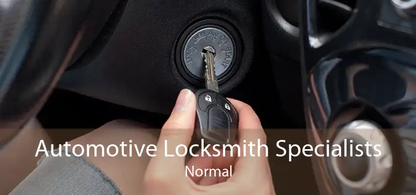 Automotive Locksmith Specialists Normal