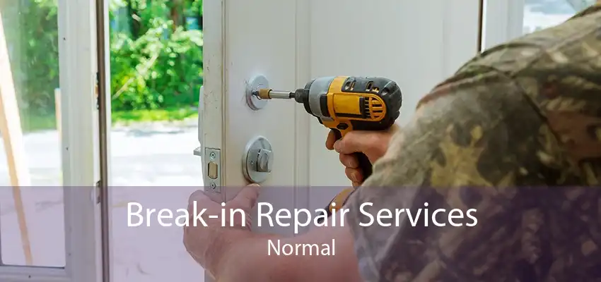 Break-in Repair Services Normal
