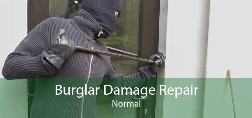 Burglar Damage Repair Normal