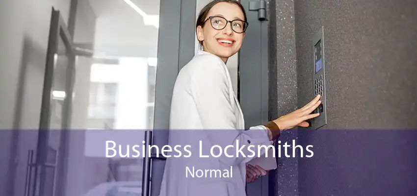 Business Locksmiths Normal