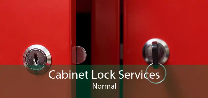 Cabinet Lock Services Normal
