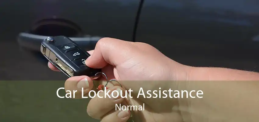 Car Lockout Assistance Normal