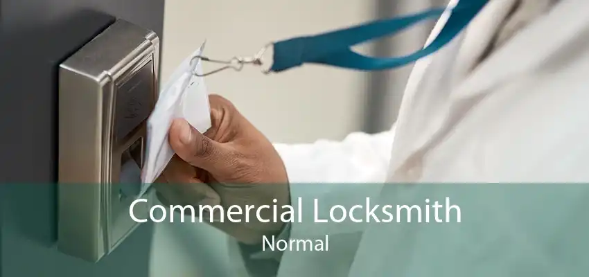 Commercial Locksmith Normal