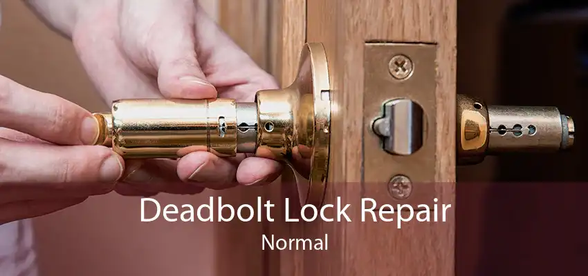 Deadbolt Lock Repair Normal