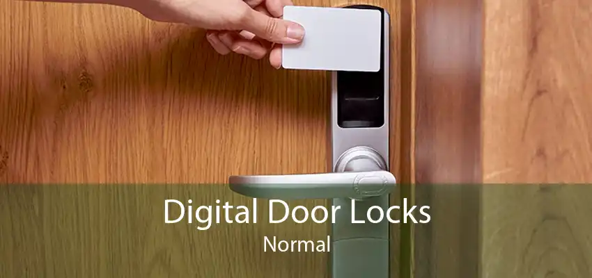 Digital Door Locks Normal