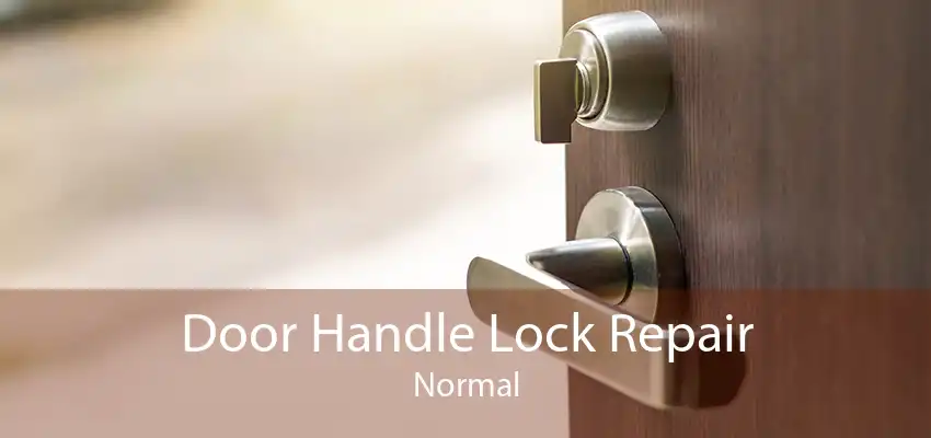 Door Handle Lock Repair Normal