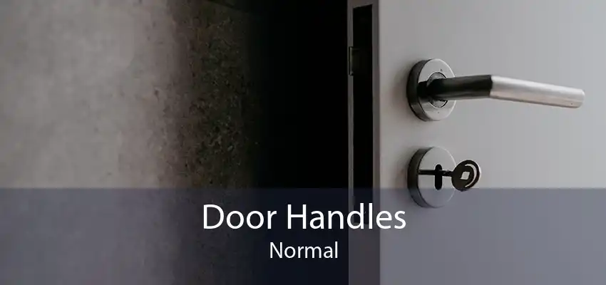 Door Handles Normal