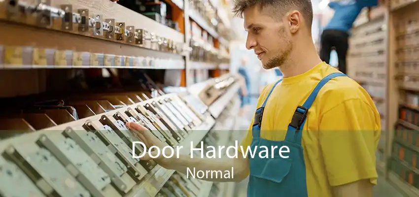 Door Hardware Normal