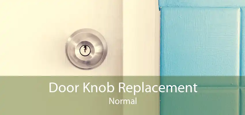 Door Knob Replacement Normal