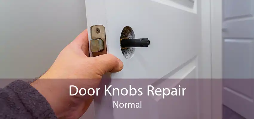 Door Knobs Repair Normal