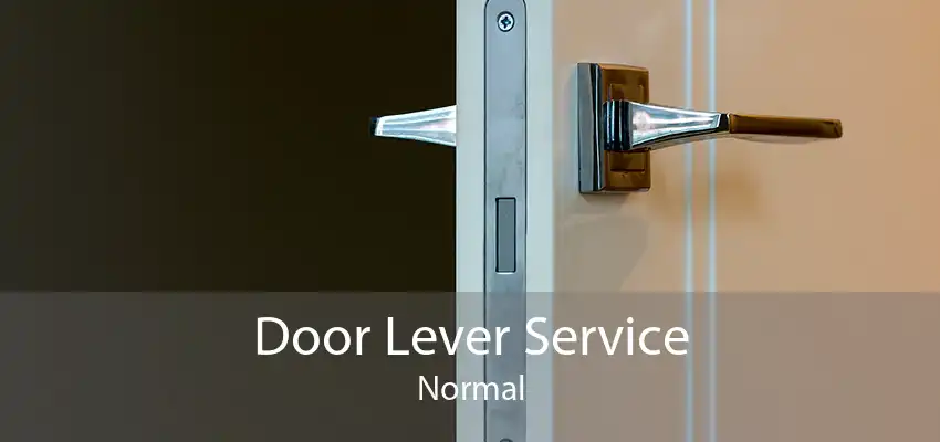 Door Lever Service Normal