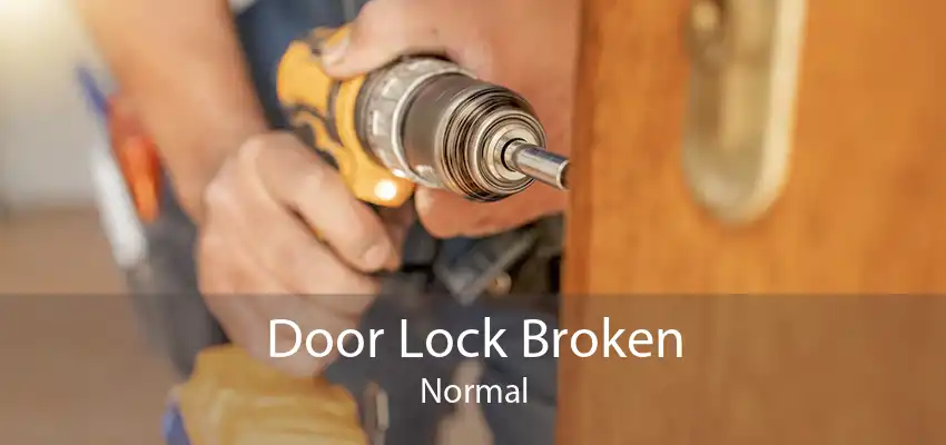 Door Lock Broken Normal