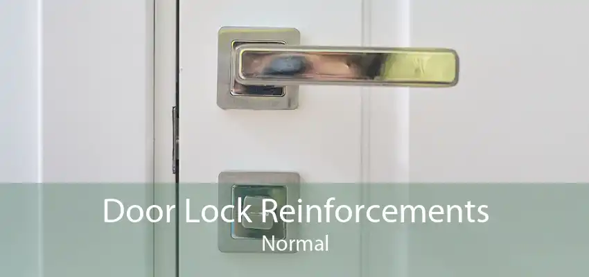 Door Lock Reinforcements Normal