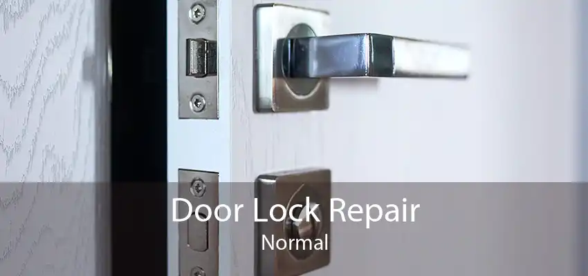 Door Lock Repair Normal