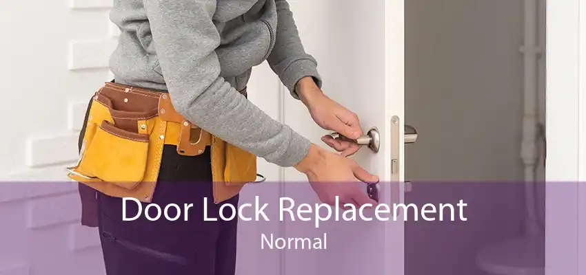 Door Lock Replacement Normal