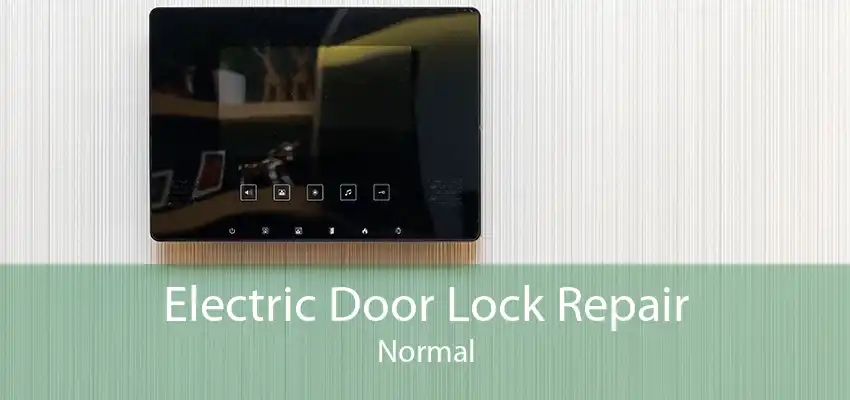 Electric Door Lock Repair Normal