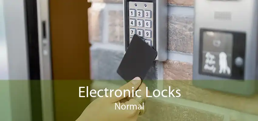 Electronic Locks Normal