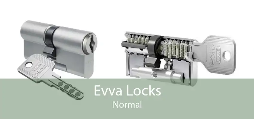 Evva Locks Normal
