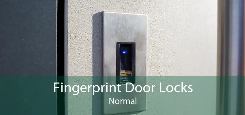 Fingerprint Door Locks Normal