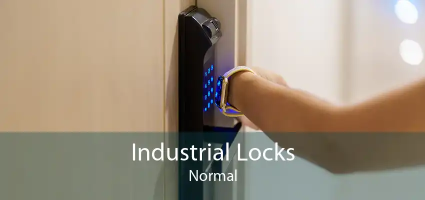 Industrial Locks Normal