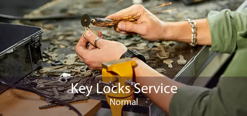 Key Locks Service Normal