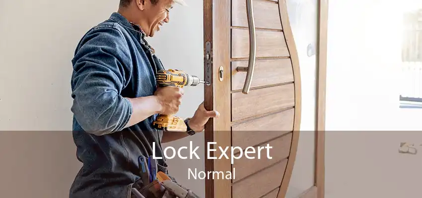 Lock Expert Normal
