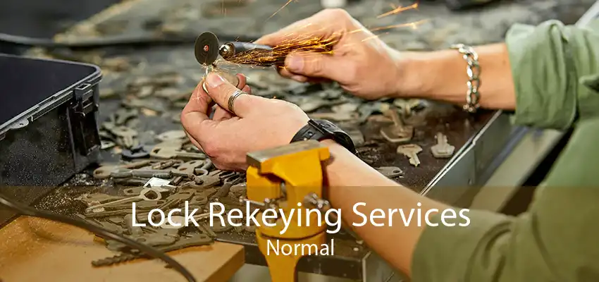Lock Rekeying Services Normal