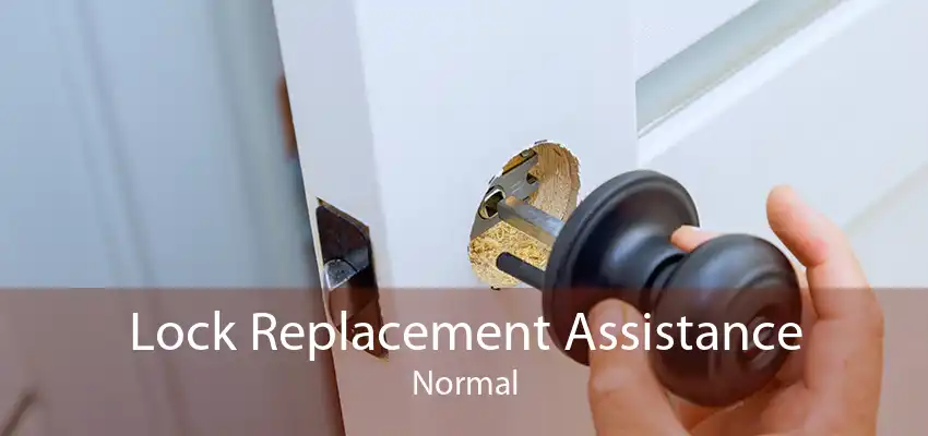 Lock Replacement Assistance Normal
