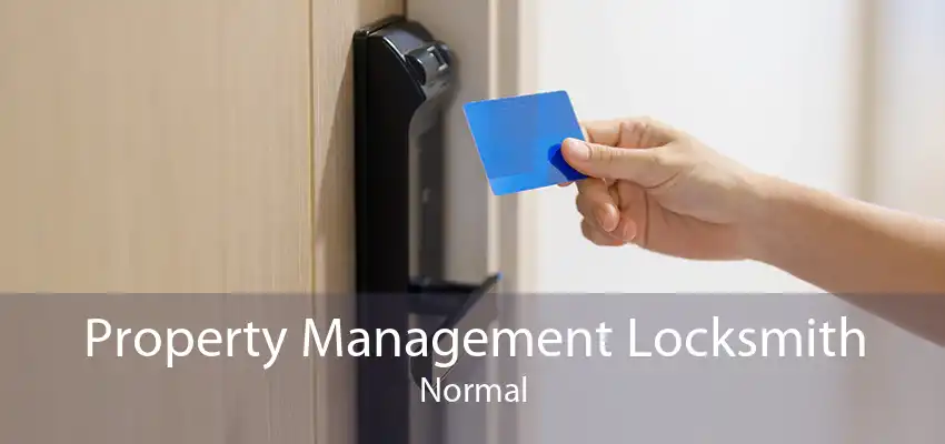 Property Management Locksmith Normal