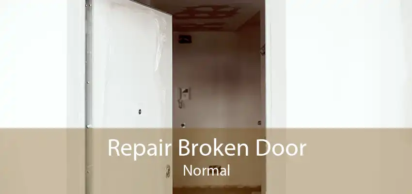 Repair Broken Door Normal