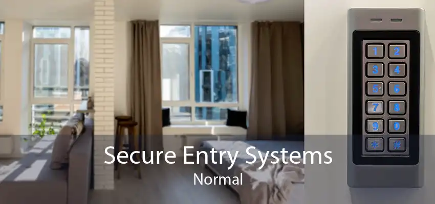 Secure Entry Systems Normal