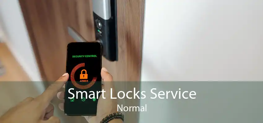 Smart Locks Service Normal