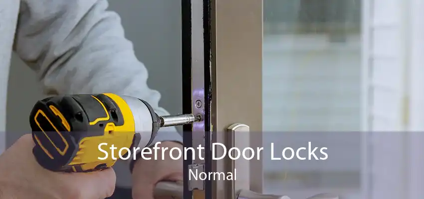 Storefront Door Locks Normal