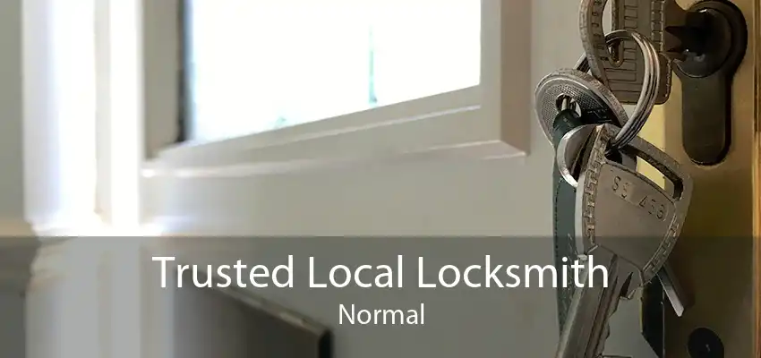 Trusted Local Locksmith Normal